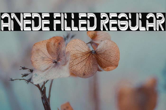 Anede Filled Regular Example 1