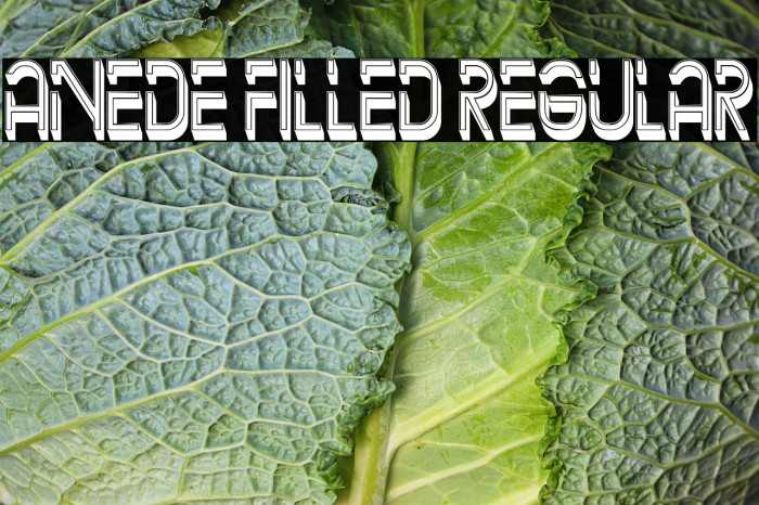 Anede Filled Regular Example 2