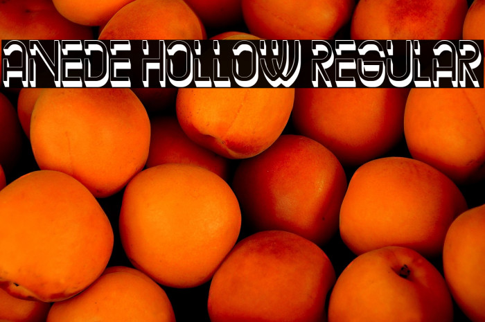 Anede Hollow Regular Example 1