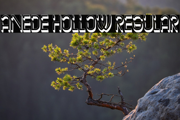 Anede Hollow Regular Example 2