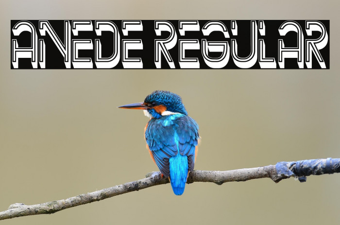 Anede Regular Example 2