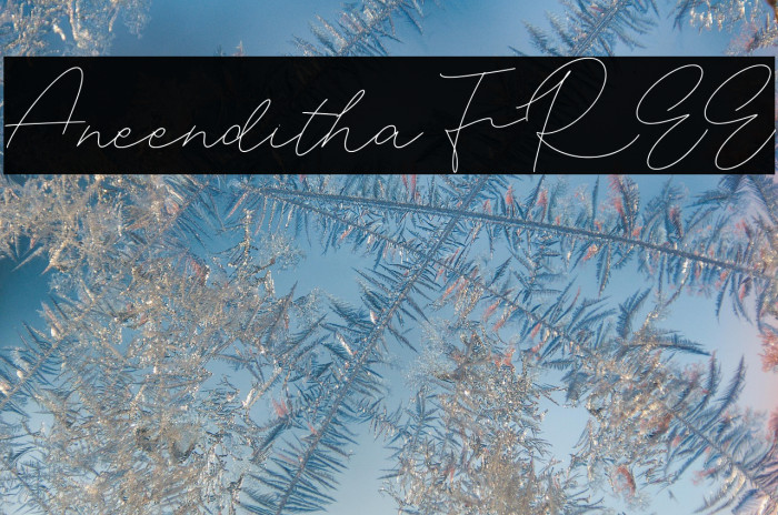 Aneenditha FREE Example 3