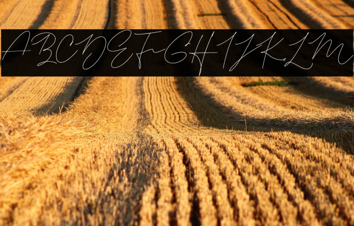 AneendithaFREE Example 2