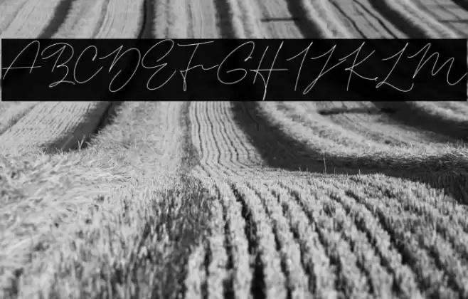 AneendithaFREE Font examples