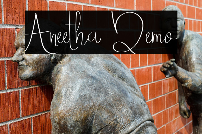Aneetha Demo Example 1