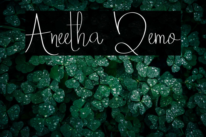 Aneetha Demo Example 2