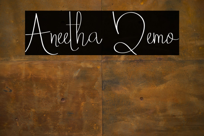 Aneetha Demo Example 3