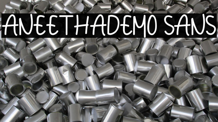 Aneethademo Sans Example 2