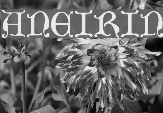 Aneirin Font examples