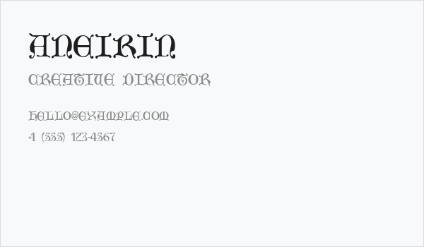 Aneirin Business Card