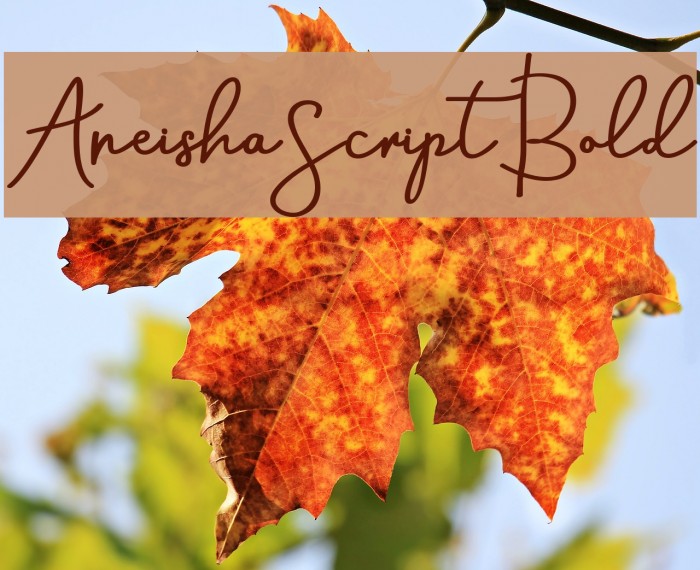 AneishaScriptBold Шрифта examples