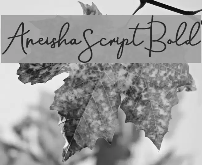 AneishaScriptBold Font examples