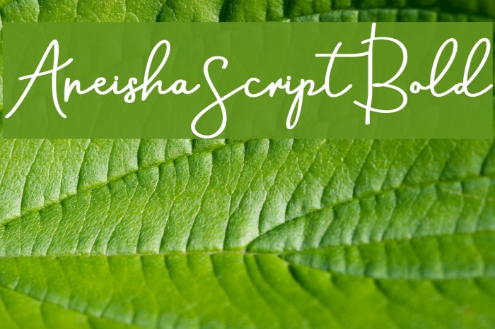 AneishaScriptBold Шрифта examples