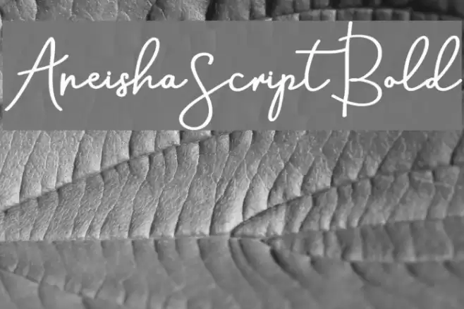 AneishaScriptBold Font examples
