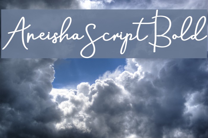 AneishaScriptBold Шрифта examples