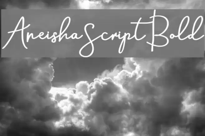 AneishaScriptBold Font examples