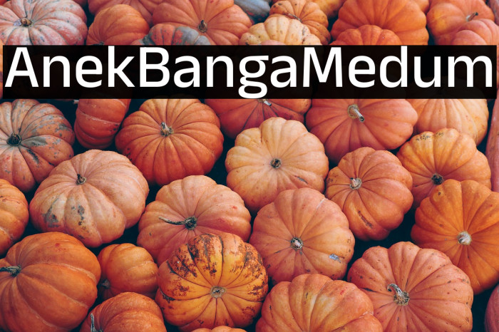 Anek Bangla Medium Example 1