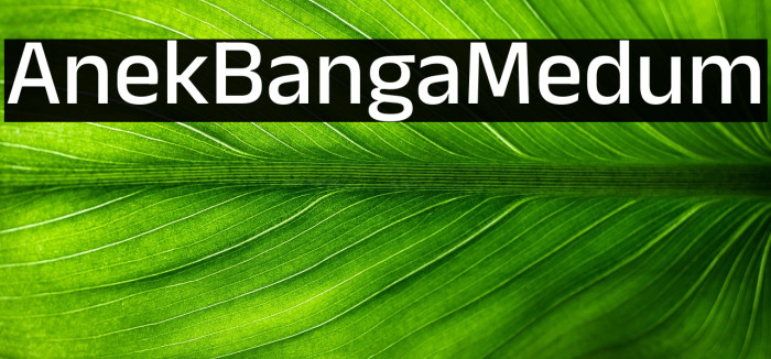 Anek Bangla Medium Example 2