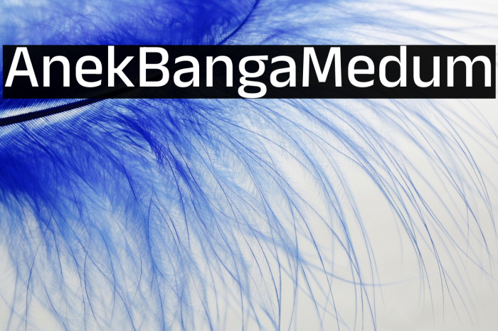 Anek Bangla Medium Example 3