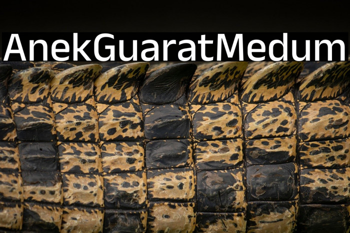 Anek Gujarati Medium Example 1