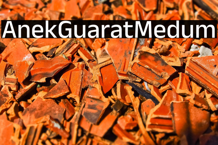 Anek Gujarati Medium Example 2