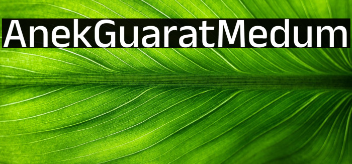 Anek Gujarati Medium Example 3