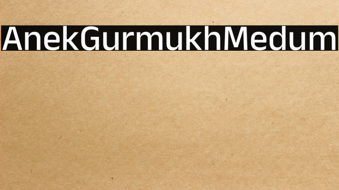 Anek Gurmukhi Medium Example 1