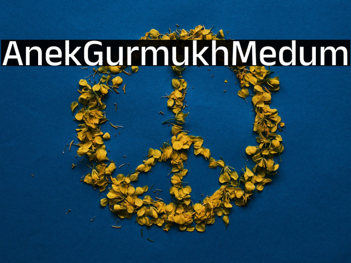 Anek Gurmukhi Medium Example 2