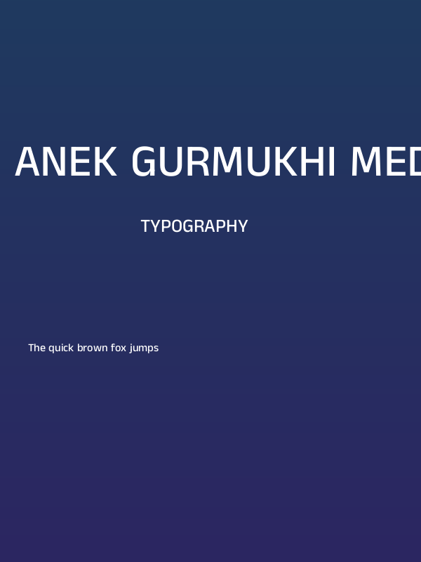 Anek Gurmukhi Medium Poster
