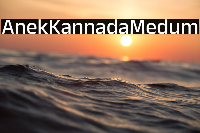 Anek Kannada Medium Example 1