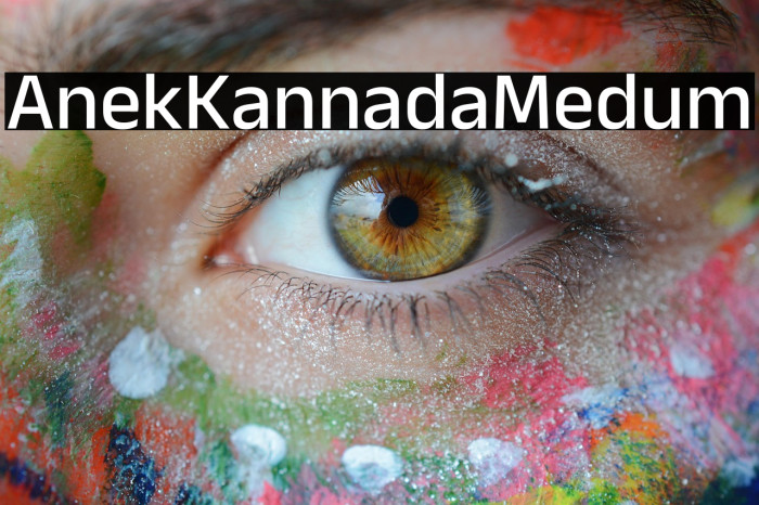 Anek Kannada Medium Example 2