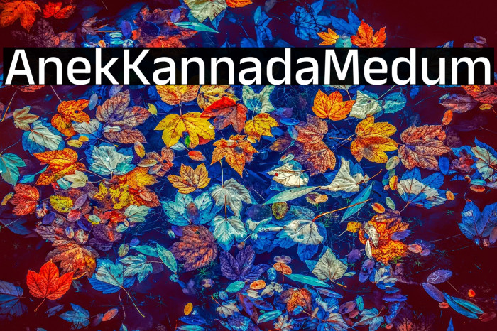 Anek Kannada Medium Example 3