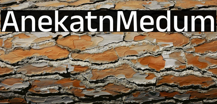 Anek Latin Medium Example 2