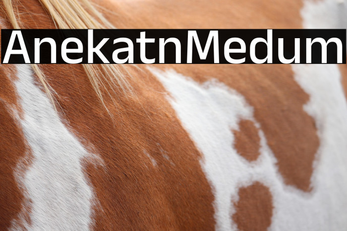 Anek Latin Medium Example 3