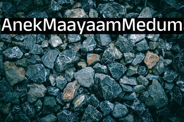 Anek Malayalam Medium Example 2