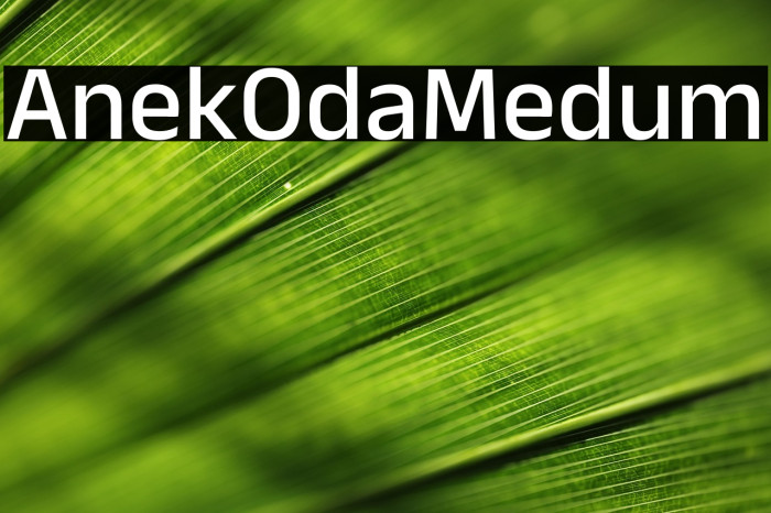 Anek Odia Medium Example 2