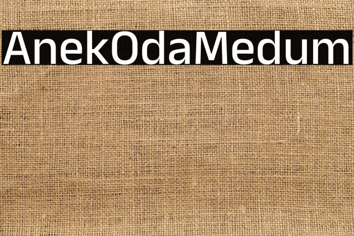Anek Odia Medium Example 3