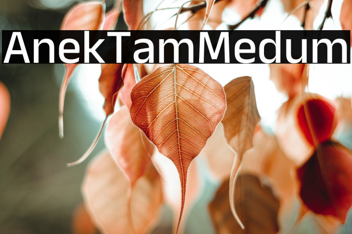 Anek Tamil Medium Example 1