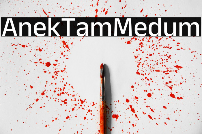 Anek Tamil Medium Example 2