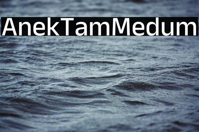 Anek Tamil Medium Example 3