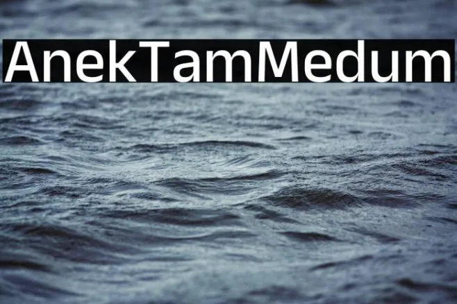 Anek Tamil Medium Example 3