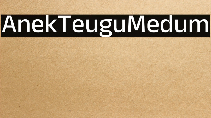 Anek Telugu Medium Example 1