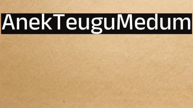 Anek Telugu Medium Example 1