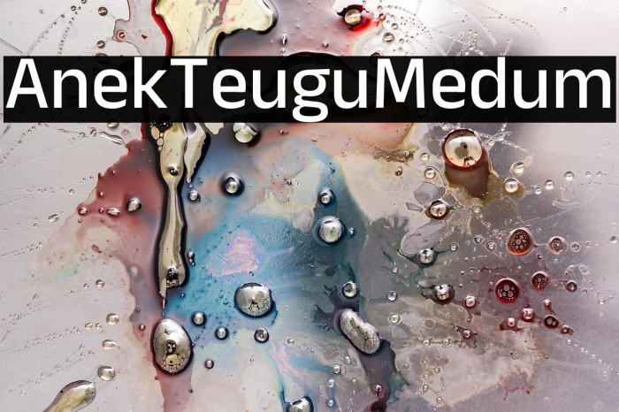 Anek Telugu Medium Example 2