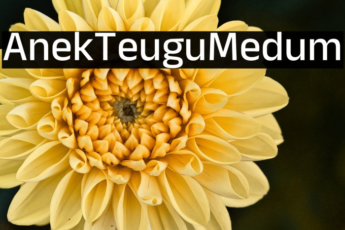 Anek Telugu Medium Example 3