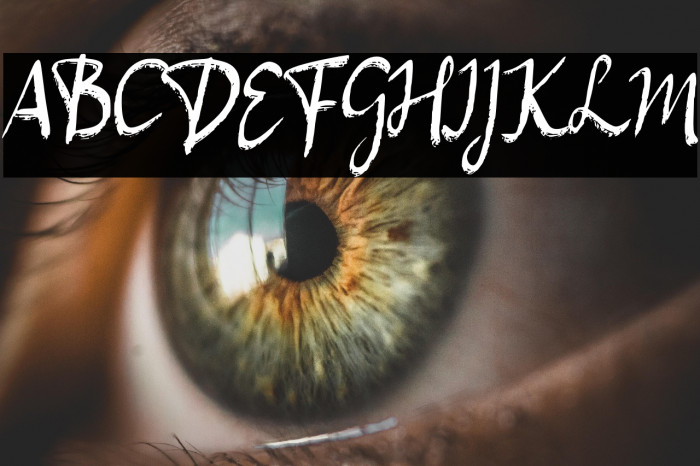 Aneka Satwa Example 3