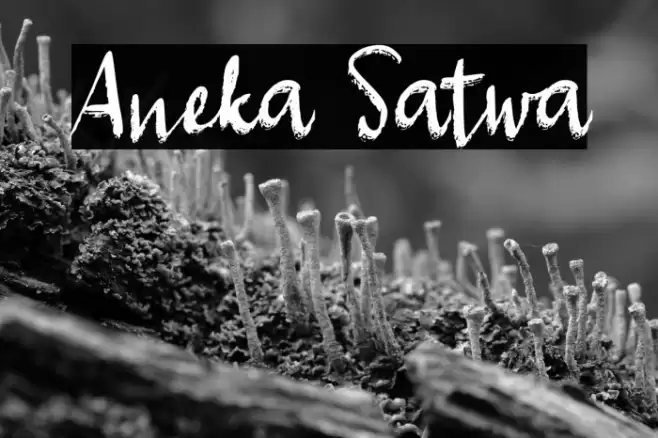 Aneka Satwa Font examples