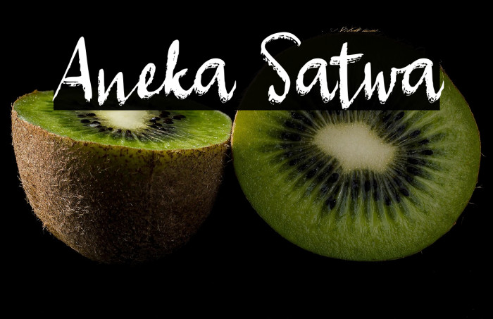 Aneka Satwa Example 2