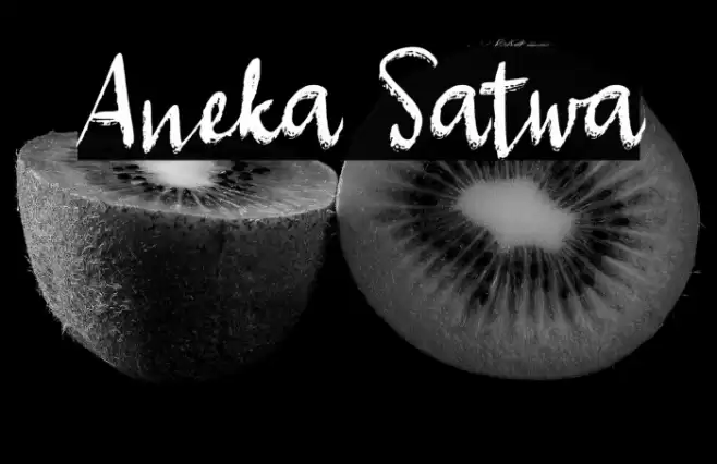Aneka Satwa Font examples