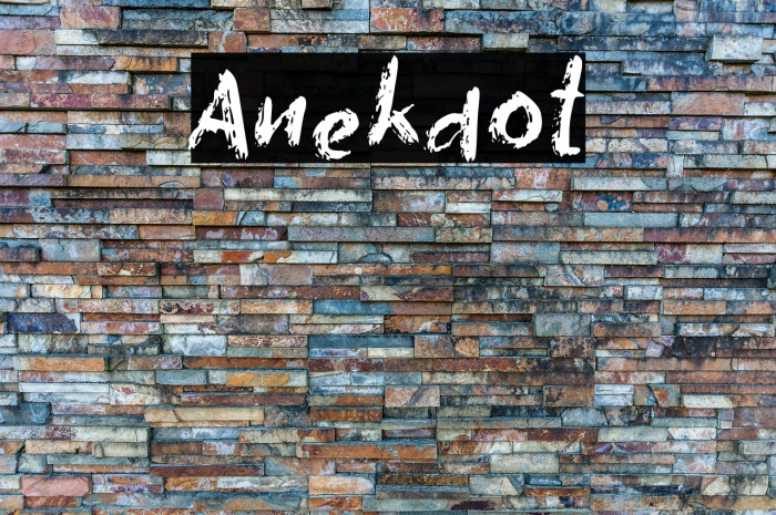 Anekdot Example 1